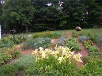 Vegetable, fruit and cutting gardens