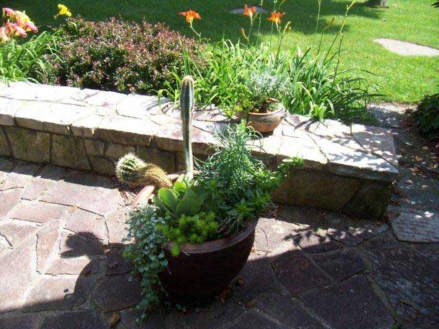 Container gardens