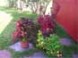 Container gardens