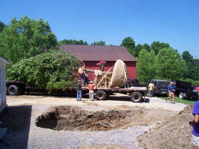 Dirt Divas digging