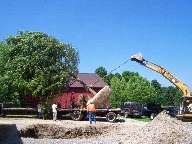 Dirt Divas digging