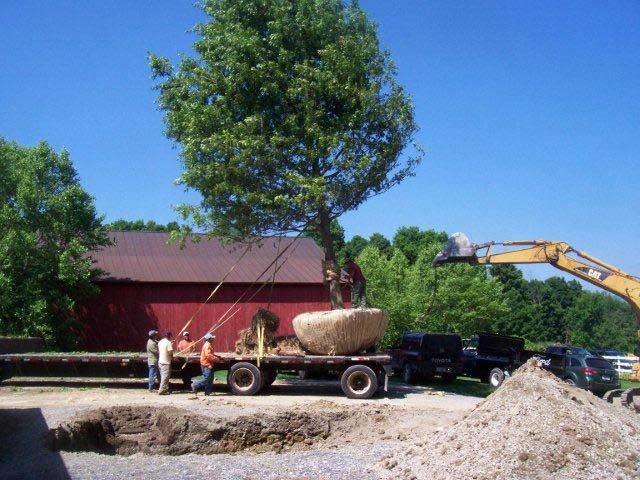 Dirt Divas digging