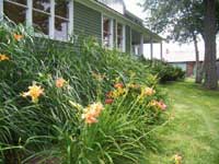 Foundation Plantings