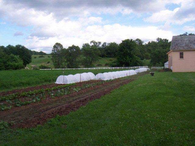 Greenhouse and extended season growing 