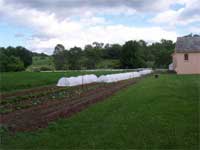 Greenhouse and extended season growing