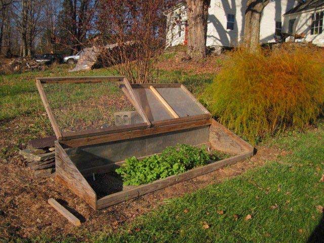 Greenhouse and extended season growing 