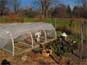 Greenhouse and extended season growing 